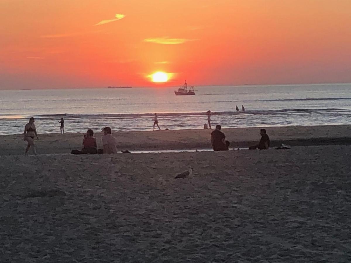 Huis Zeeduin Amsterdam Beach Zandvoort Buitenkant foto
