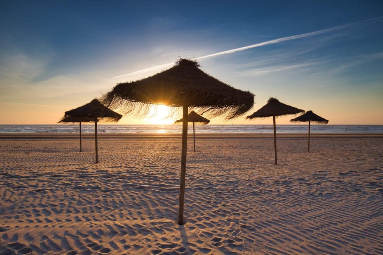 Huis Zeeduin Amsterdam Beach Zandvoort Buitenkant foto